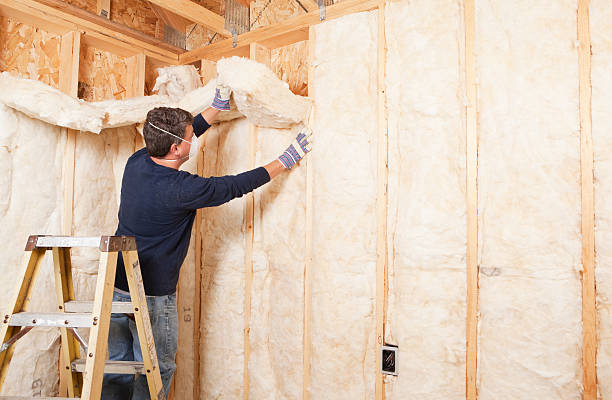 Best Weatherproofing Services in Iselin, NJ